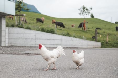 Stefan Emmenegger-127.jpg