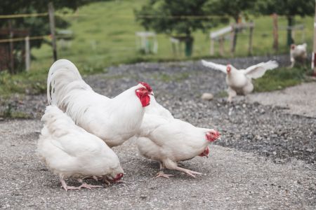 Stefan Emmenegger-131.jpg