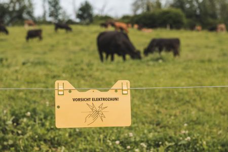 Stefan Emmenegger-155.jpg