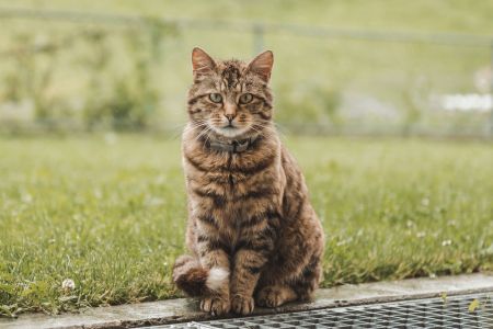 Stefan Emmenegger-17.jpg