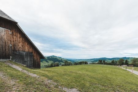 Stefan Emmenegger-171.jpg