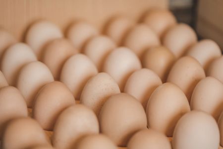 Stefan Emmenegger-2.jpg