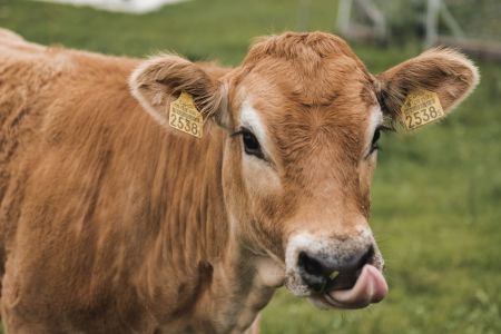 Stefan Emmenegger-85.jpg