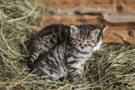 Stefan Emmenegger-98.jpg